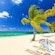 A beach on Grand Cayman featuring palm trees, a hammock and lounge chairs facing the Caribbean Sea